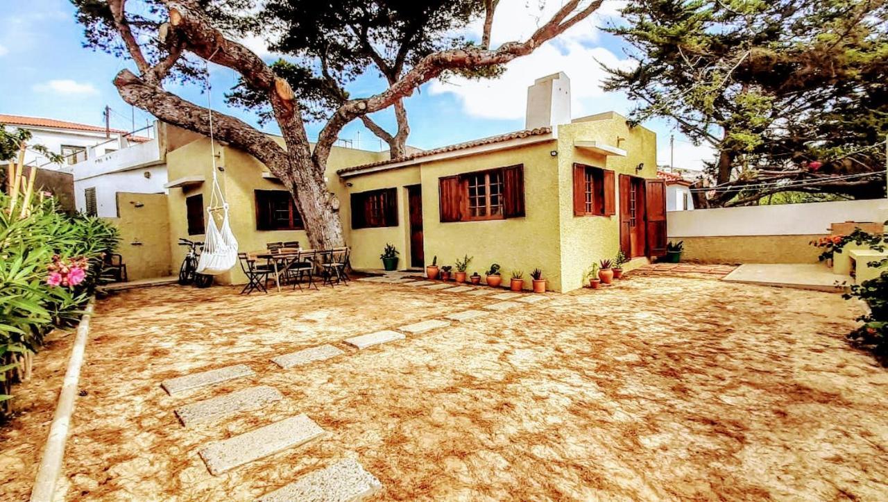 פורטו סנטו Beach Tree House מראה חיצוני תמונה