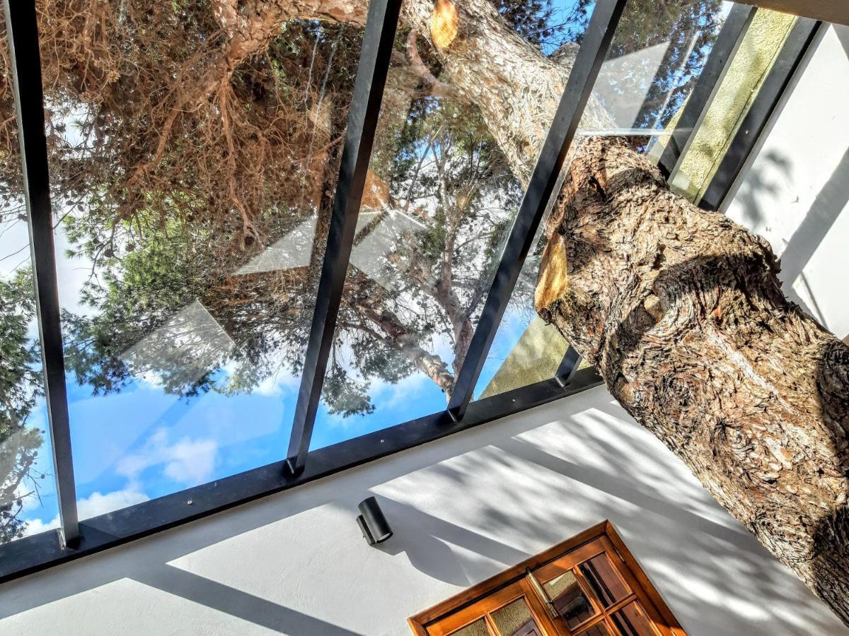 פורטו סנטו Beach Tree House מראה חיצוני תמונה