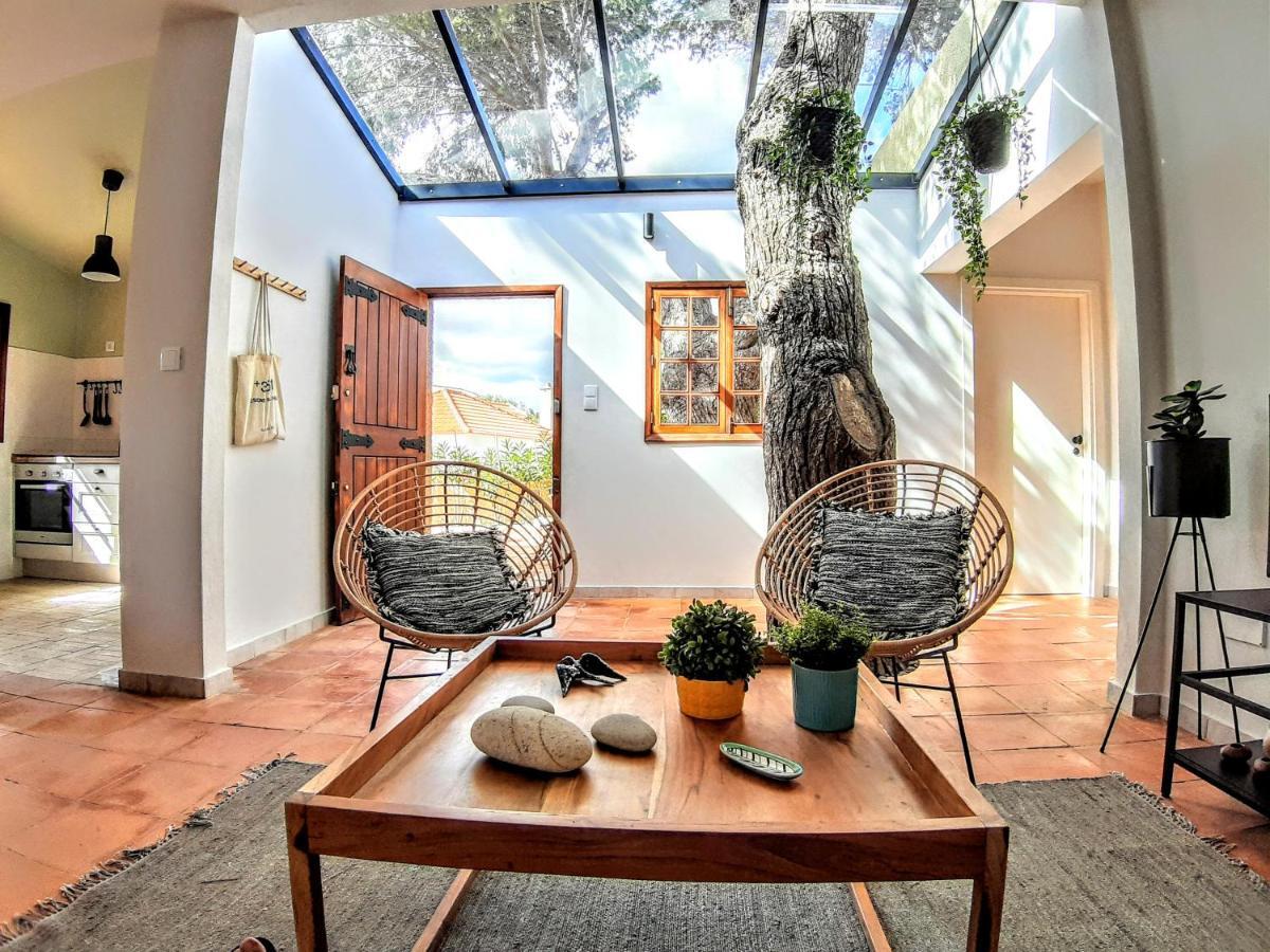פורטו סנטו Beach Tree House מראה חיצוני תמונה